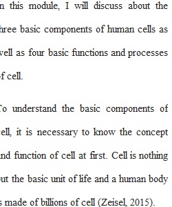 Module  2 Discussion